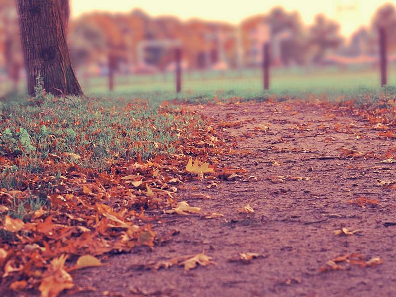 SylvexRylSynIgnvor Moca